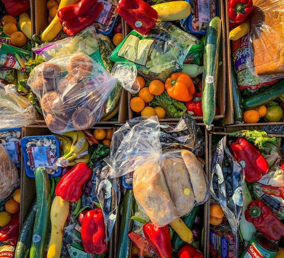 Veggie Connections Club transitions from promoting a plant-based lifestyle to political activism